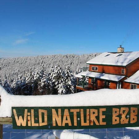 Wild Nature B&B Kelowna Ngoại thất bức ảnh