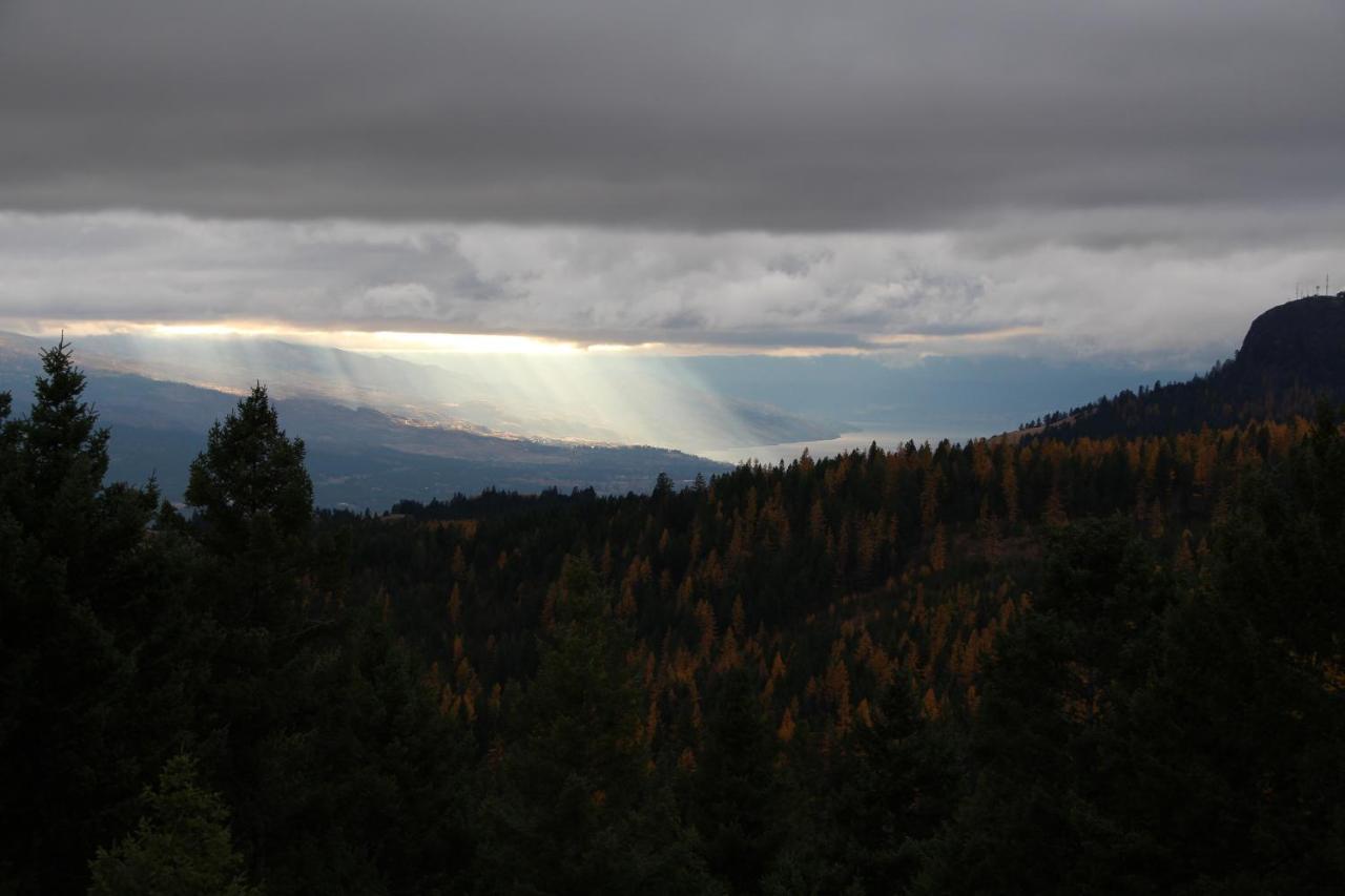 Wild Nature B&B Kelowna Ngoại thất bức ảnh