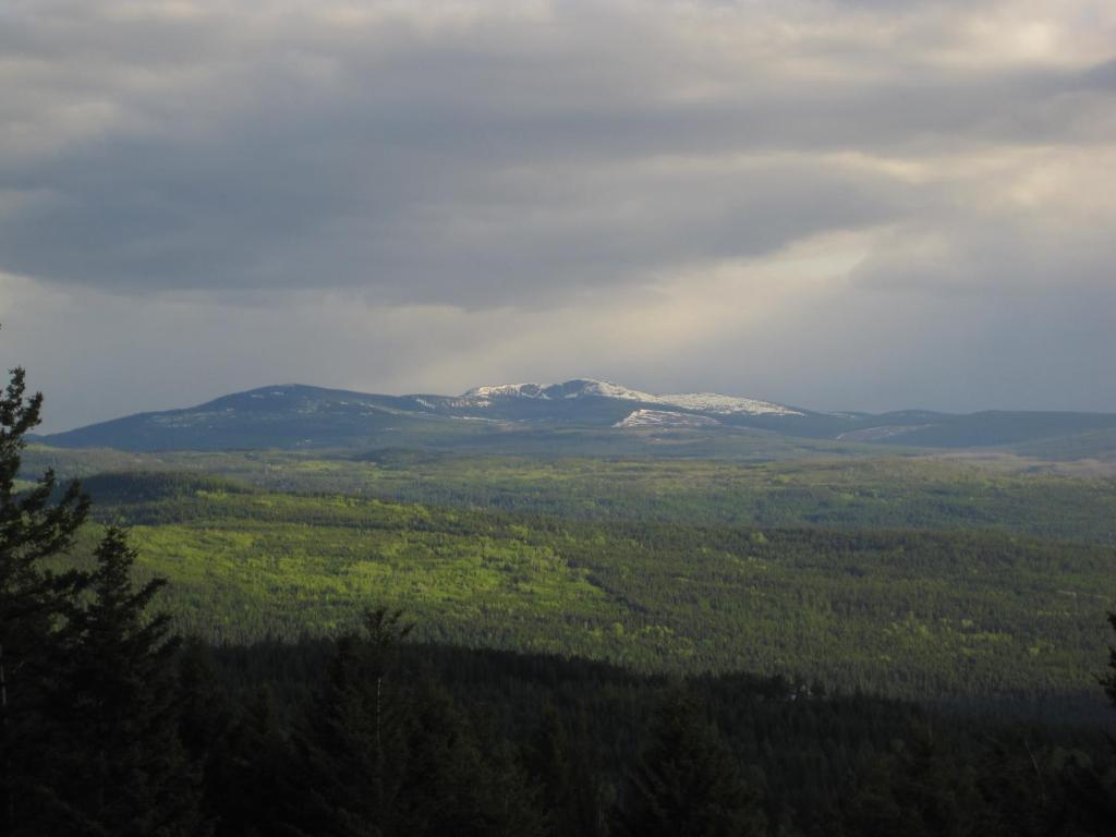 Wild Nature B&B Kelowna Ngoại thất bức ảnh