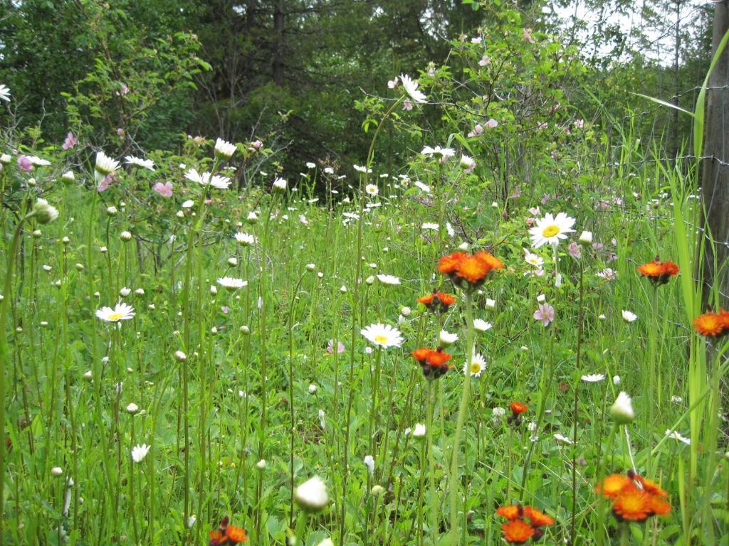 Wild Nature B&B Kelowna Ngoại thất bức ảnh